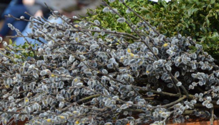 VIRÁGVASÁRNAP- április 9.