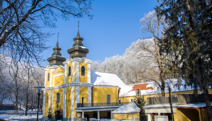 KÖZLEMÉNY