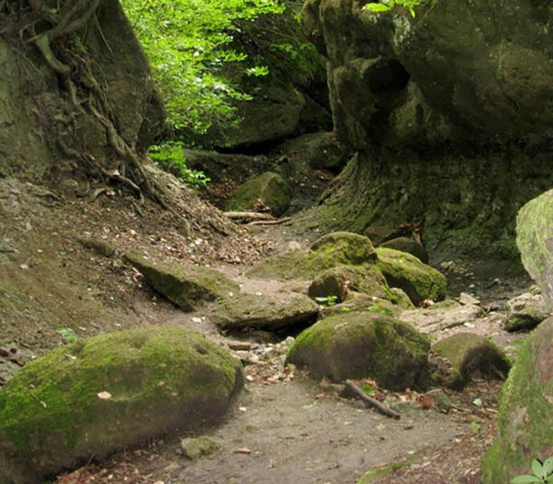 Szent László-forrás